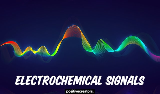 electrochemical signals